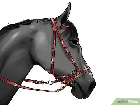 Image intitulée Train a Horse Step 18