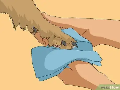 Image intitulée Get Dog Smell Out of the Carpet Step 10