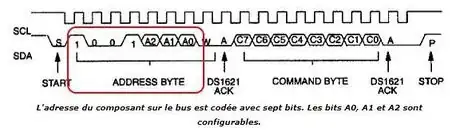 Image intitulée Gagaga