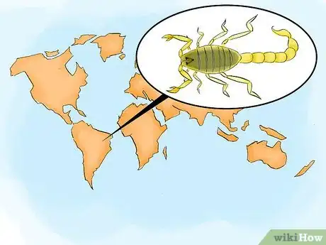 Image intitulée Treat a Scorpion Sting Step 21