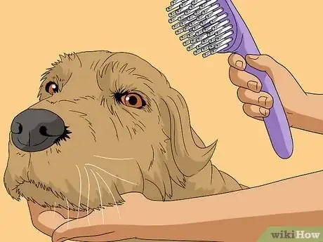 Image intitulée Get Dog Smell Out of the Carpet Step 11