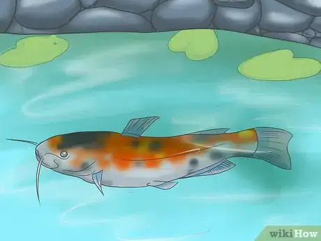 Image intitulée Remove Turbidity Step 16