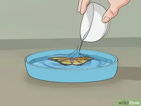 Image intitulée Preserve a Butterfly Step 14
