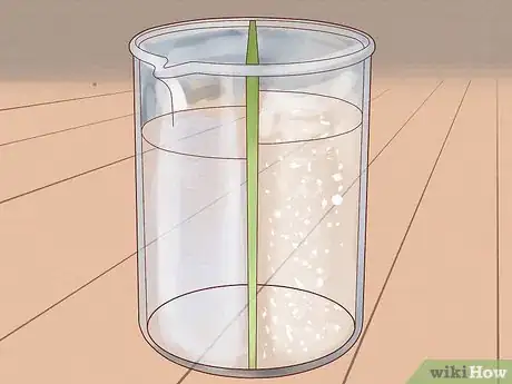 Image intitulée Separate Salt from Water Step 9