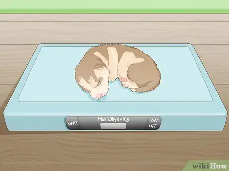 Image intitulée Breed Husky Dogs Step 19