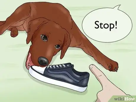 Image intitulée Train Labrador Retrievers Step 13