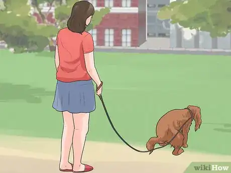 Image intitulée Train Cavalier King Charles Spaniels Step 1