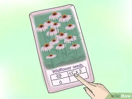 Image intitulée Plant Wildflowers Step 7