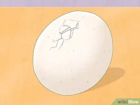 Image intitulée Make a Simple Homemade Incubator for Chicks Step 11