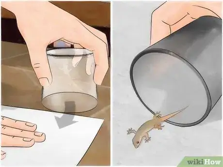 Image intitulée Chase Lizards out of Your House Step 6
