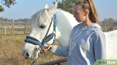 Image intitulée Groom a Horse Step 10