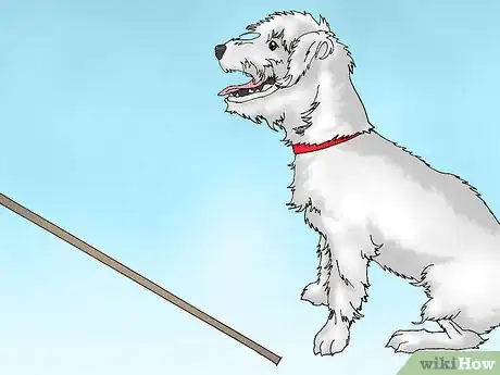 Image intitulée Care for a Dog with a Torn ACL Step 2