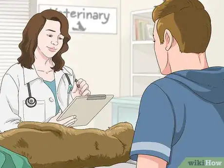 Image intitulée Treat Mother Dogs with Sore or Infected Nipples Step 6