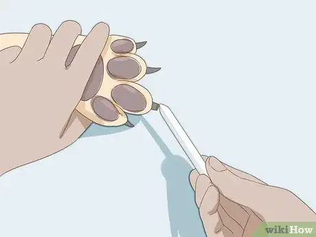 Image intitulée Stop a Dog's Quick from Bleeding Step 4