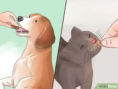 Image intitulée Keep Your Dog from Chasing Cats Step 5