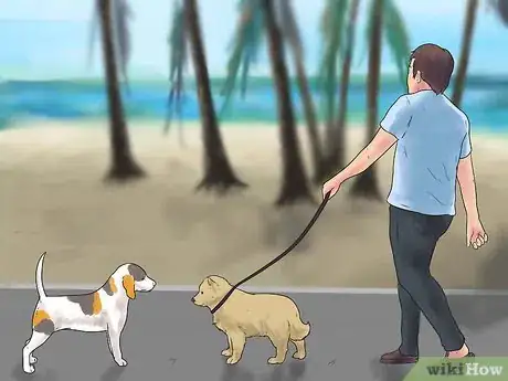 Image intitulée Own a Pet Wolf Step 9