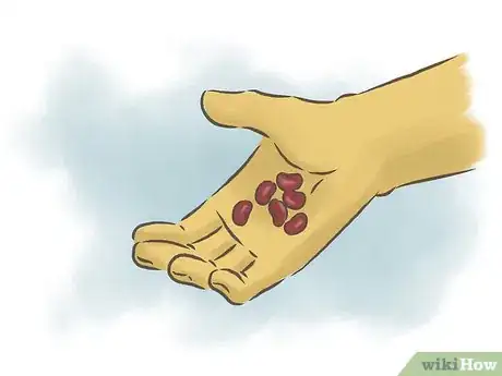 Image intitulée Grow Kidney Beans Step 1
