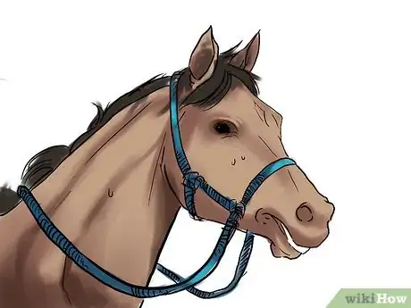 Image intitulée Train a Horse Step 12