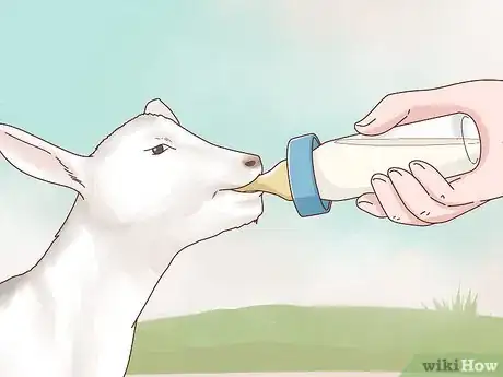 Image intitulée Care for Baby Goats Step 5