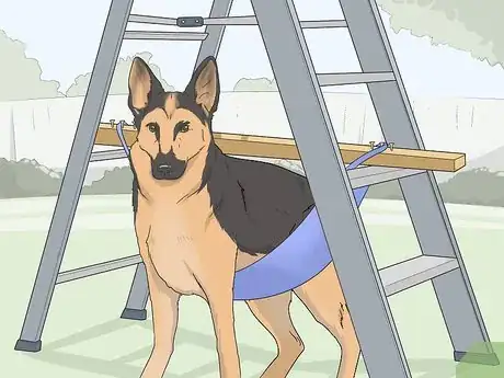 Image intitulée Express a Paralyzed Dog's Bladder Step 17
