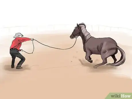 Image intitulée Train a Horse Step 11