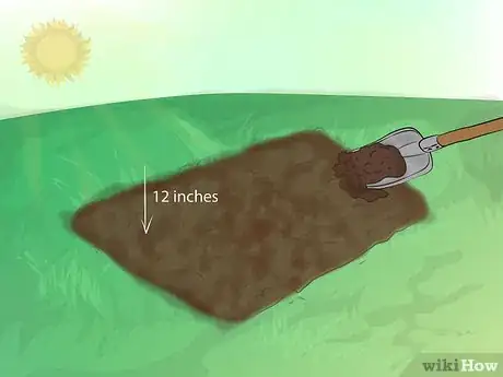 Image intitulée Grow Gladiolus Step 4