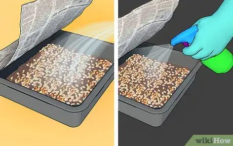 Image intitulée Grow Wheatgrass at Home Step 6