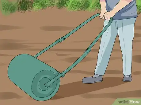 Image intitulée Sow Grass Seed Step 5