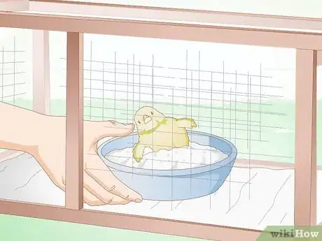 Image intitulée Care for a Chick Step 10