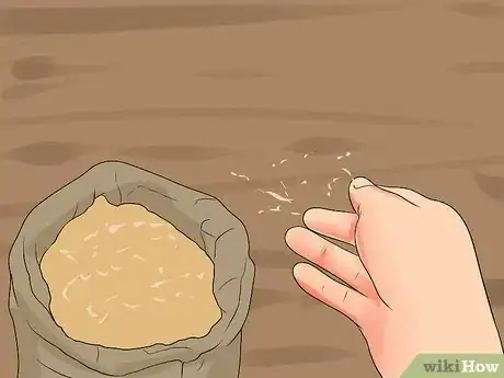 Image intitulée Sow Grass Seed Step 6