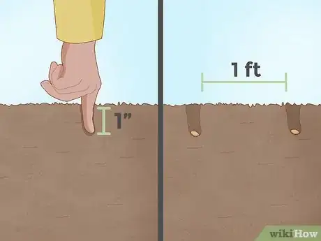 Image intitulée Plant Cherry Seeds Step 10