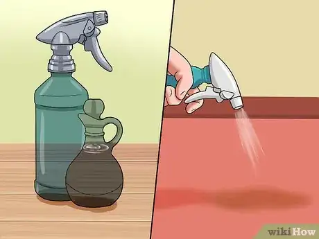 Image intitulée Clean Vomit out of Carpet Step 22