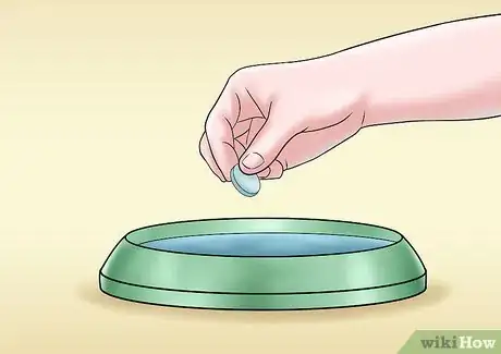 Image intitulée Care for a Cat with Kidney Failure Step 6