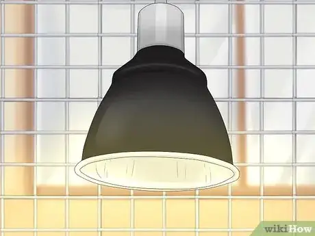 Image intitulée Care for a Pet Duck Step 13