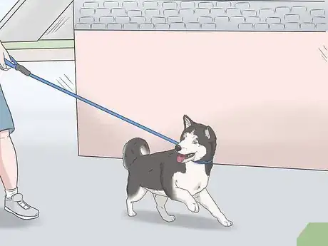 Image intitulée Potty Train Your Puppy Using a Bell Step 9