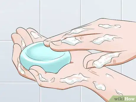 Image intitulée Care for an Injured Wild Bird That Cannot Fly Step 12