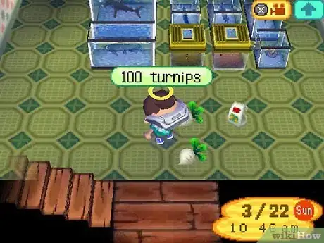 Image intitulée Make a Lot of Bells (Money) in Animal Crossing_ Wild World Step 37