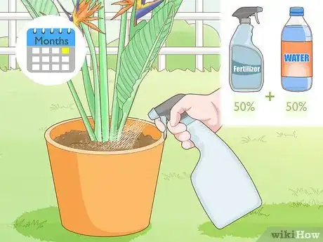 Image intitulée Divide a Bird of Paradise Plant Step 12