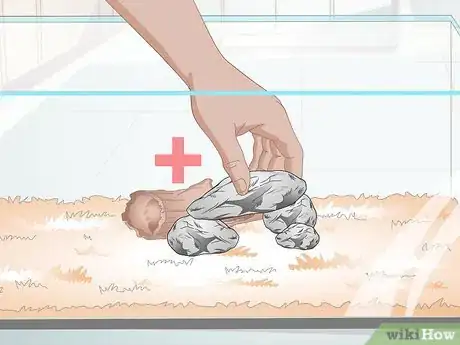 Image intitulée Take Care of a Garter Snake Step 3