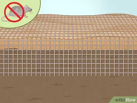 Image intitulée Plant Cherry Seeds Step 12