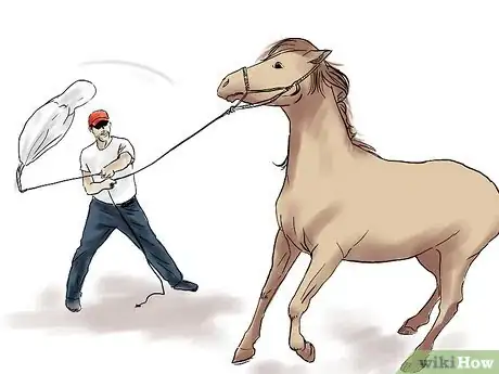 Image intitulée Train a Horse Step 13