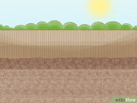 Image intitulée Grow Chestnut Trees Step 1