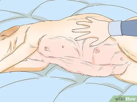Image intitulée Tell if a Dog Is Pregnant Step 5