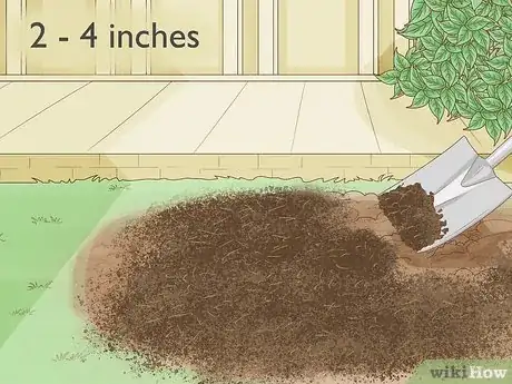 Image intitulée Keep Narcissus Bulbs After Flowering Step 11