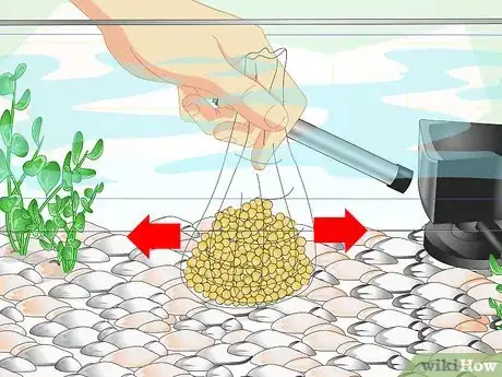 Image intitulée Fix Cloudy Aquarium Water Step 13