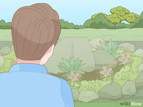 Image intitulée Build a Rock Garden with Weed Prevention Step 1