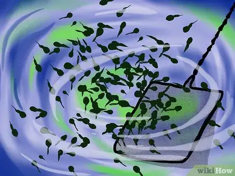 Image intitulée Get Rid of Frogs Step 11
