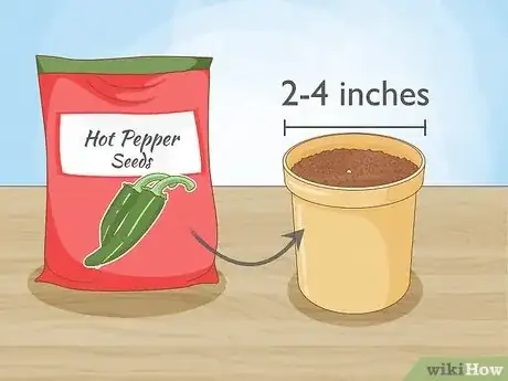Image intitulée Grow Hot Peppers Step 3