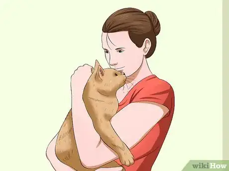 Image intitulée Carry a Cat Step 6