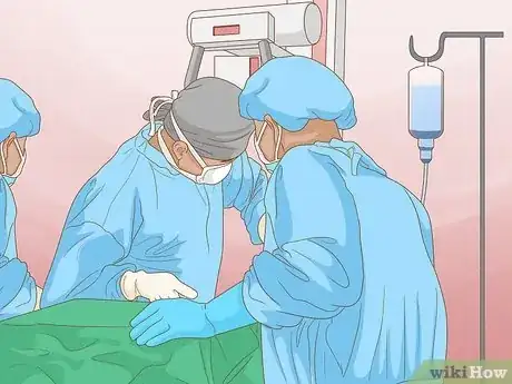 Image intitulée Get Rid of a Botfly in a Dog Step 7